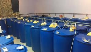 اكتشاف أكبر مصنع للخمور في مزرعة بالعبدلي