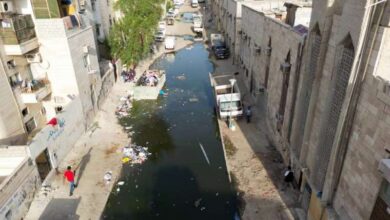 مجلس الوزراء يطلب تقديرات تكلفة تثمين جليب الشيوخ